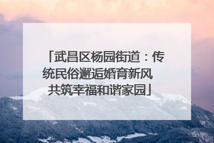 武昌区杨园街道：传统民俗邂逅婚育新风 共筑幸福和谐家园