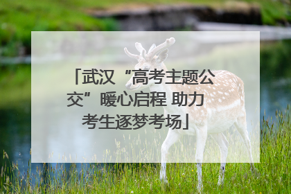 武汉“高考主题公交”暖心启程 助力考生逐梦考场