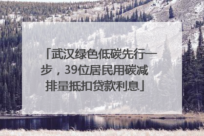 武汉绿色低碳先行一步，39位居民用碳减排量抵扣贷款利息