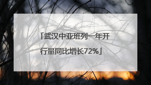 武汉中亚班列一年开行量同比增长72%