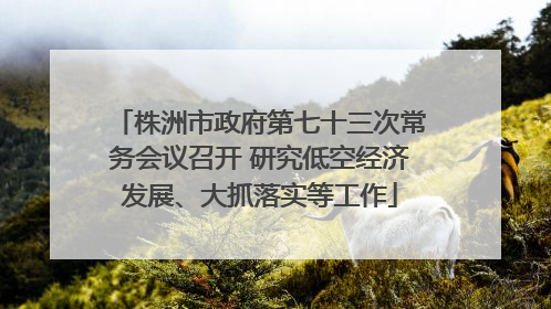 株洲市政府第七十三次常务会议召开 研究低空经济发展、大抓落实等工作