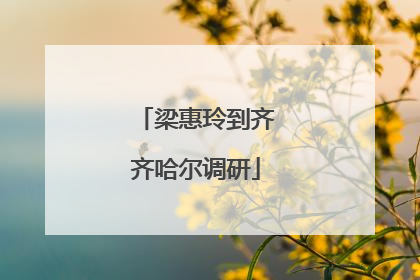 梁惠玲到齐齐哈尔调研