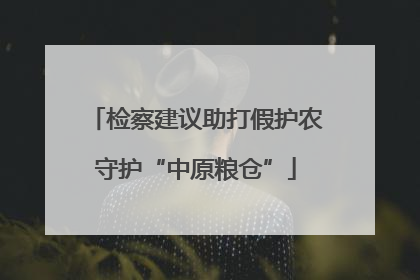 检察建议助打假护农守护“中原粮仓”
