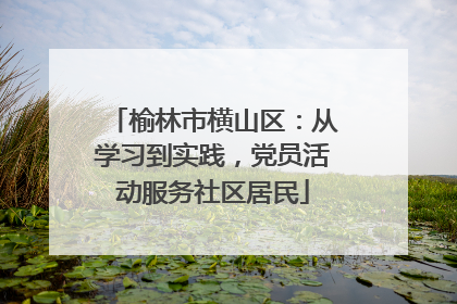 榆林市横山区：从学习到实践，党员活动服务社区居民