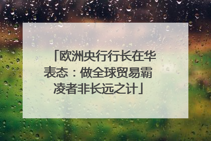 欧洲央行行长在华表态：做全球贸易霸凌者非长远之计
