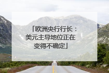 欧洲央行行长：美元主导地位正在变得不确定