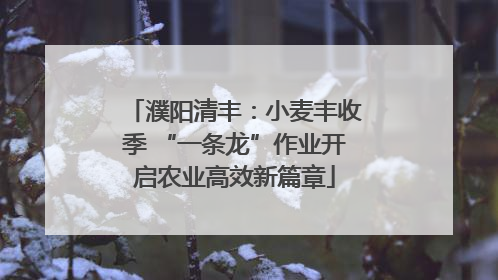 濮阳清丰：小麦丰收季 “一条龙”作业开启农业高效新篇章