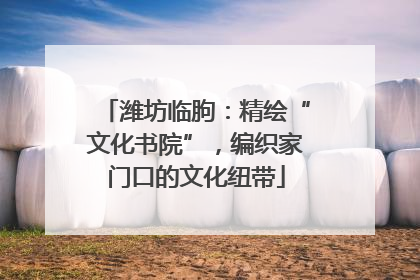 潍坊临朐：精绘“文化书院”，编织家门口的文化纽带