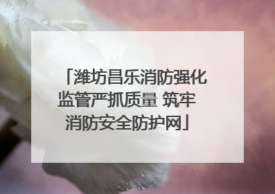 潍坊昌乐消防强化监管严抓质量 筑牢消防安全防护网