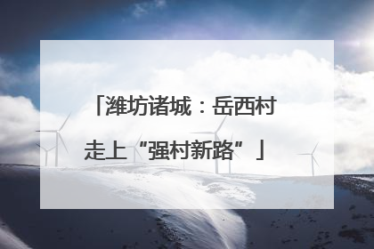 潍坊诸城：岳西村走上“强村新路”