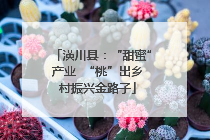 潢川县：“甜蜜”产业  “桃”出乡村振兴金路子