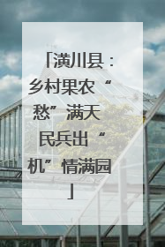 潢川县：乡村果农“愁”满天  民兵出“机”情满园
