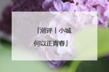潮评丨小城何以正青春