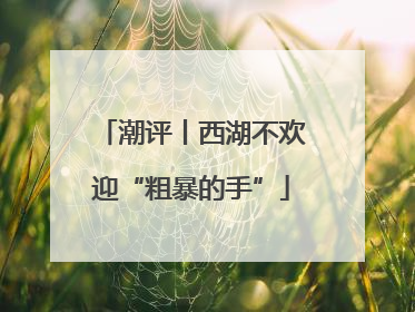 潮评丨西湖不欢迎“粗暴的手”