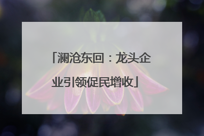 澜沧东回：龙头企业引领促民增收