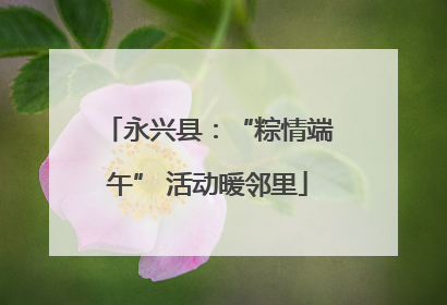 永兴县：“粽情端午” 活动暖邻里