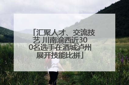 汇聚人才、交流技艺 川南渝西近300名选手在酒城泸州展开技能比拼