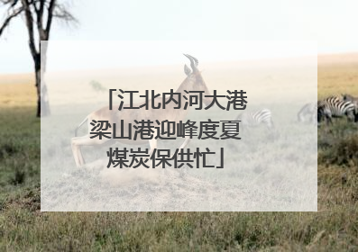 江北内河大港梁山港迎峰度夏煤炭保供忙