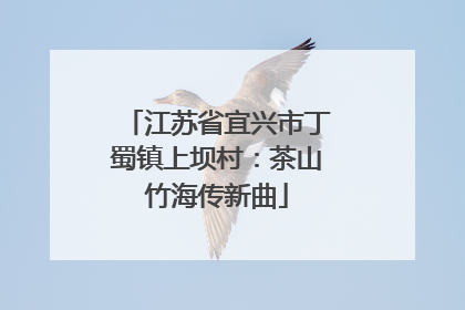 江苏省宜兴市丁蜀镇上坝村：茶山竹海传新曲