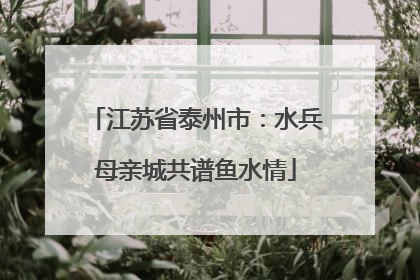 江苏省泰州市：水兵母亲城共谱鱼水情