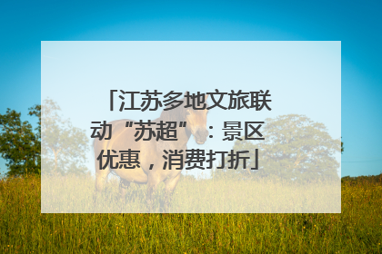 江苏多地文旅联动“苏超”：景区优惠，消费打折