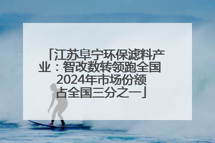 江苏阜宁环保滤料产业：智改数转领跑全国 2024年市场份额占全国三分之一