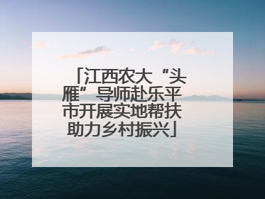 江西农大“头雁”导师赴乐平市开展实地帮扶助力乡村振兴