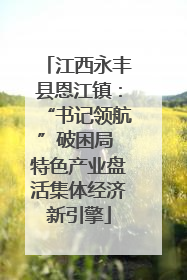 江西永丰县恩江镇：“书记领航”破困局 特色产业盘活集体经济新引擎