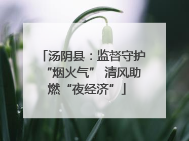 汤阴县：监督守护“烟火气” 清风助燃“夜经济”