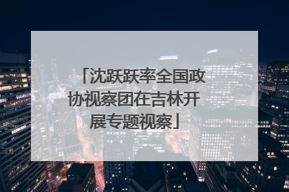 沈跃跃率全国政协视察团在吉林开展专题视察