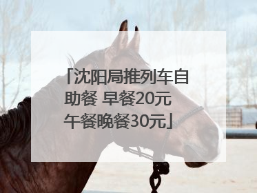 沈阳局推列车自助餐 早餐20元午餐晚餐30元