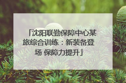 沈阳联勤保障中心某旅综合训练：新装备登场 保障力提升