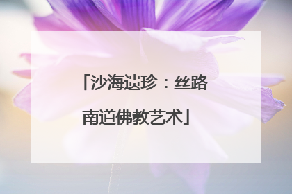 沙海遗珍：丝路南道佛教艺术