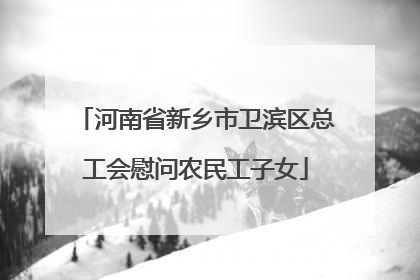 河南省新乡市卫滨区总工会慰问农民工子女