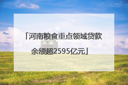 河南粮食重点领域贷款余额超2595亿元