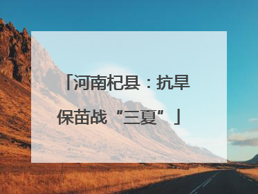 河南杞县：抗旱保苗战“三夏”