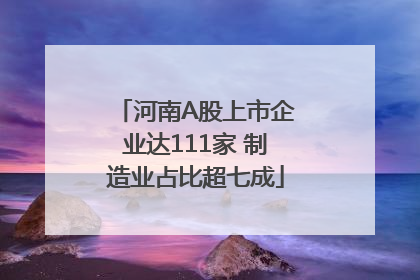 河南A股上市企业达111家 制造业占比超七成