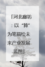 河北廊坊：以“算”为笔描绘未来产业发展蓝图