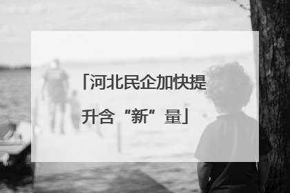 河北民企加快提升含“新”量