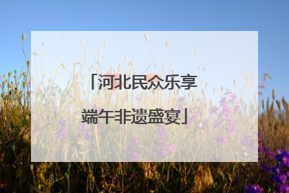 河北民众乐享端午非遗盛宴