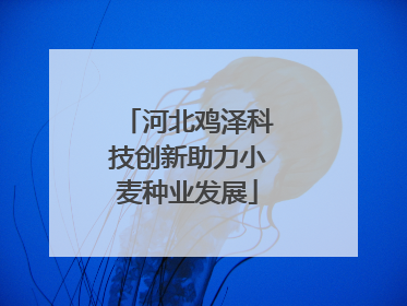 河北鸡泽科技创新助力小麦种业发展