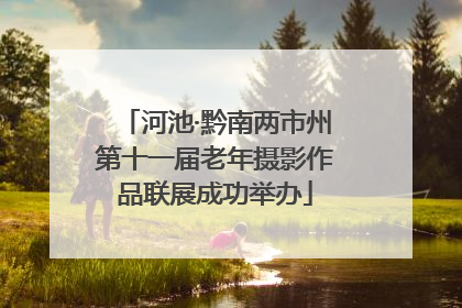 河池·黔南两市州第十一届老年摄影作品联展成功举办