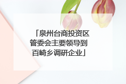 泉州台商投资区管委会主要领导到百崎乡调研企业