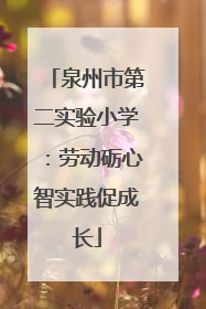 泉州市第二实验小学：劳动砺心智实践促成长