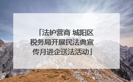 法护营商 城阳区税务局开展民法典宣传月进企送法活动