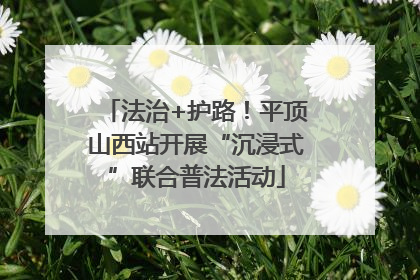 法治+护路！平顶山西站开展“沉浸式”联合普法活动