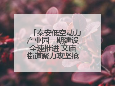 泰安低空动力产业园一期建设全速推进 文庙街道聚力攻坚抢抓“进度条”