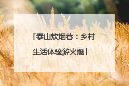 泰山炊烟巷：乡村生活体验游火爆