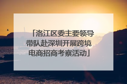 洛江区委主要领导带队赴深圳开展跨境电商招商考察活动