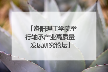 洛阳理工学院举行轴承产业高质量发展研究论坛